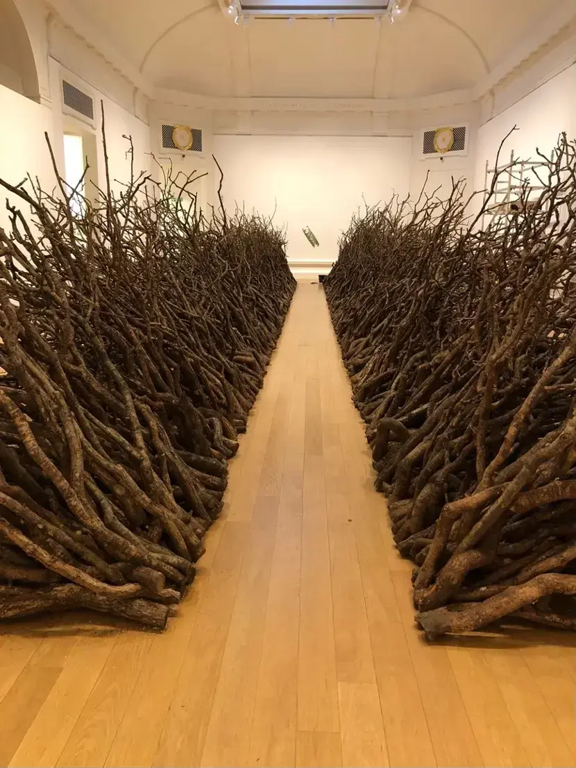 A gallery installation with two tall walls of tangled wooden branches forming a central corridor through a white-walled exhibition space